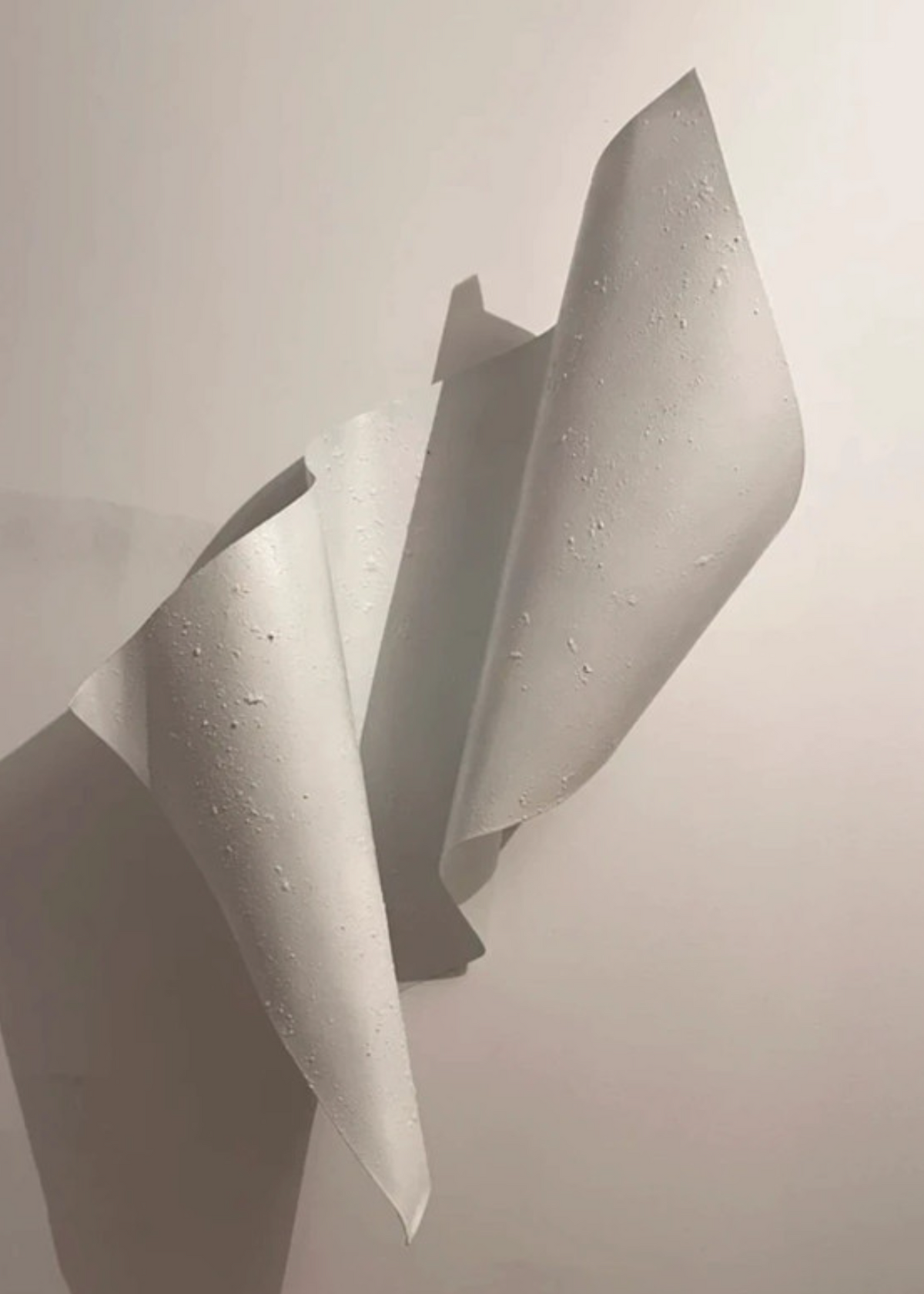 0036