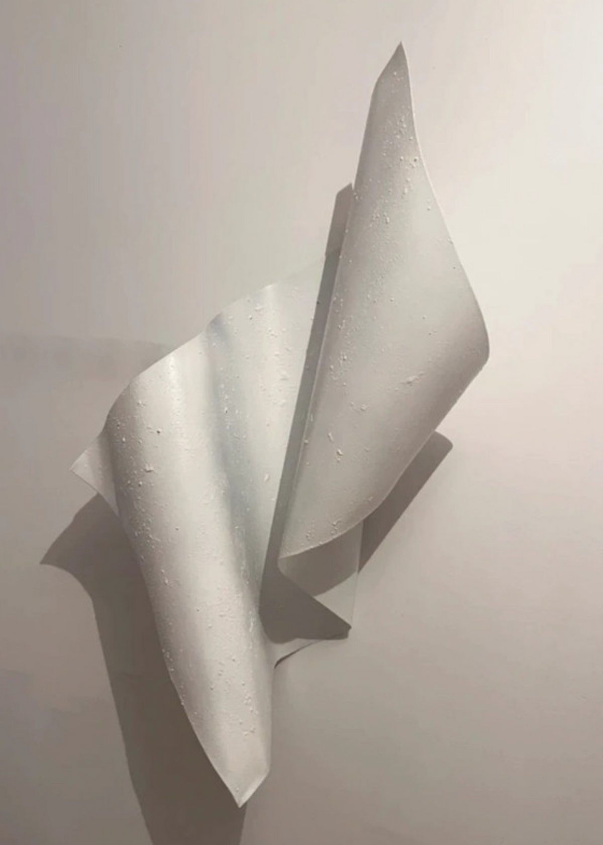 0036